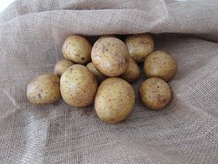 potatoes-1021346__180